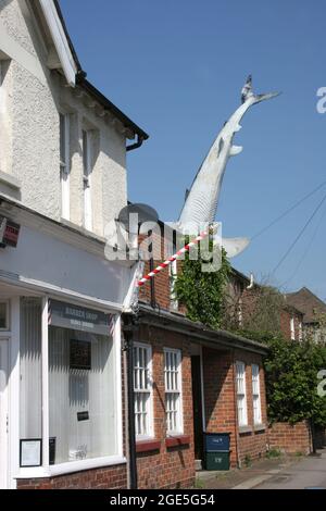 Bill Heine's Shark in einer Dachstatue in Headington, Oxford, Großbritannien Stockfoto