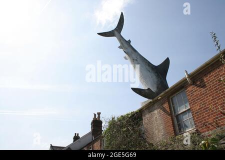 Bill Heine's Shark in einer Dachstatue in Headington, Oxford, Großbritannien Stockfoto