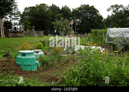 Nagano, Japan, 2021-12-08 , Gärten in Togakushi. Stockfoto