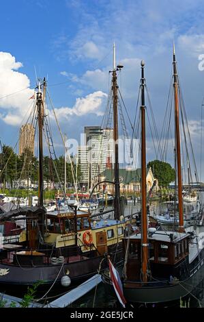 rotterdam - niederlande - 2021.08.05: Traditionelle Segelschiffe in veerhaven im historischen scheepvaartkwartier (Schifffahrtsviertel) Stockfoto