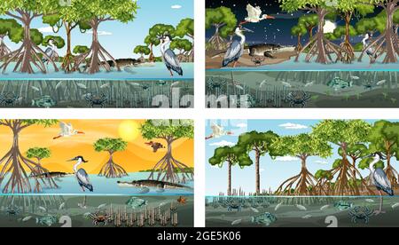 Verschiedene Mangrovenwaldlandschaftsszenen mit verschiedenen Tieren Illustration Stock Vektor