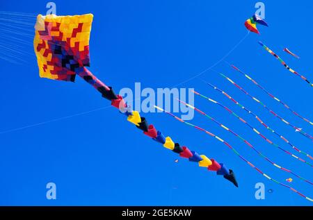 FRANKREICH, DRACHENFEST, GROSSER DRACHEN OHNE STRUKTUR Stockfoto