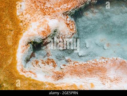 Detailfoto, heiße Quelle mit orangen Mineralvorkommen und Bakterienkolonien, Palette Springs, Upper Terraces, Mammoth Hot Springs, Yellowstone Stockfoto