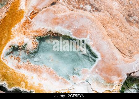 Detailfoto, heiße Quelle mit orangen Mineralvorkommen und Bakterienkolonien, Palette Springs, Upper Terraces, Mammoth Hot Springs, Yellowstone Stockfoto