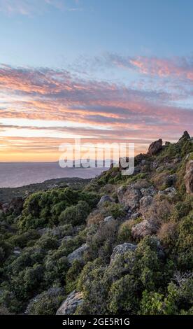 Sonnenuntergang über dem Meer, Landschaft mit Macchia, auf den hinteren Inseln Gyali und Kos, Nisyros, Dodekanes, Griechenland Stockfoto