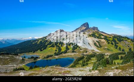 Blue Lakes vor dem Black Tusk Vulkangeberg, Panorama Ridge, Garibaldi Provincial Park, British Columbia, Kanada Stockfoto