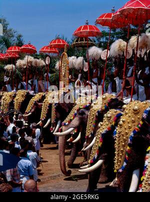 Kaparisoned Elefanten mit auffälliger bunten Regenschirme in Pooram Festival in Thrissur; Trichur, Kerala, Indien Stockfoto