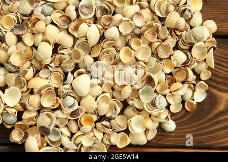 Muscheln auf hölzernen Hintergrund Stockfoto