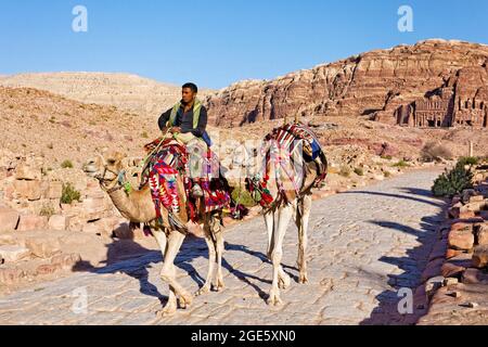 Jordanischer Kamelreiter (Camelus dromedarius) mit zwei Kamelen auf der Kolonnadenstraße, im Hintergrund königliche Gräber am westlichen Hang des Jabal Stockfoto