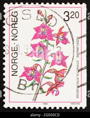 NORWEGEN - UM 1990: Eine in Norwegen gedruckte Marke zeigt dunkelrote Helleborine, Epipactis atrorubens, Europäische Orchidee, um 1990 Stockfoto