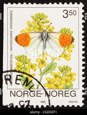 NORWEGEN - UM 1993: Eine in Norwegen gedruckte Briefmarke zeigt Orange Tip Butterfly, Anthocaris cardamine, um 1993 Stockfoto