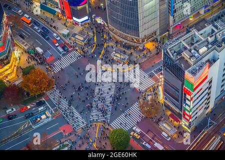 Shibuya Crossing von oben bei Nacht in Tokio, Japan Stockfoto