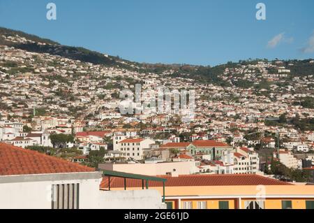 Blick über Funchal, Funchal, Madeira, Portugal, Europa Stockfoto