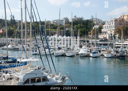 Die Marina, Funchal, Madeira, Portugal, Europa Stockfoto