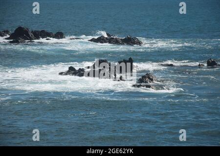 Vulkanische Felsen und Meer, Funchal, Madeira, Portugal, Stockfoto