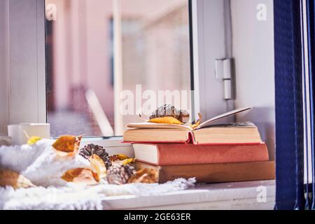 Heller Herbsthintergrund mit Büchern und Kaffeebecher. Lesen eines Buches an einem sonnigen Herbsttag auf der Fensterbank. Kalte Wochenenden in gemütlichem Zuhause verbringen Stockfoto