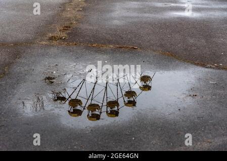 Spiegelung des Riesenrads im Vergnügungspark. Die berühmteste Geisterstadt Pripyat in der Nähe von Tschernobyl und Kernkraftwerk. Sperrzone. Ukraine. Stockfoto