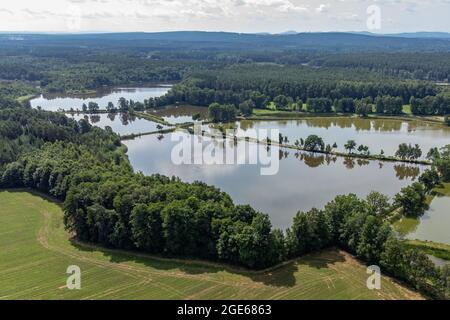 PRODUKTION - 27. Juli 2021, Bayern, Schwarzenfeld: Karpfenteiche in der Oberpfalz. (Zur dpa 'Sommerserie 'Immaterielles Kulturerbe in Bayern' - Oberpfälzer Karpfenteichbau') Foto: Armin Weigel/dpa Stockfoto