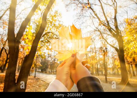 Hände von Mann und Frau halten Ahornblatt mit Loch in der Form des Herzens mit der Sonne scheint durch sie im Park. Stockfoto