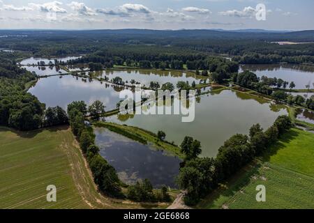 Schwarzenfeld, Deutschland. Juli 2021. Karpfenteiche in der Oberpfalz. (Zur dpa 'Sommerserie 'Immaterielles Kulturerbe in Bayern' - Oberpfälzer Karpfenteichbau') Quelle: Armin Weigel/dpa/Alamy Live News Stockfoto