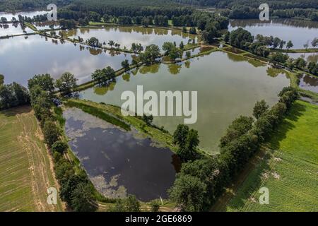 Schwarzenfeld, Deutschland. Juli 2021. Karpfenteiche in der Oberpfalz (dpa 'Sommerserie 'Immaterielles Kulturerbe in Bayern' - Karpfenteiche der Oberpfalz') Quelle: Armin Weigel/dpa/Alamy Live News Stockfoto