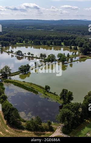 Schwarzenfeld, Deutschland. Juli 2021. Karpfenteiche in der Oberpfalz. (Zur dpa 'Sommerserie 'Immaterielles Kulturerbe in Bayern' - Oberpfälzer Karpfenteichbau') Quelle: Armin Weigel/dpa/Alamy Live News Stockfoto