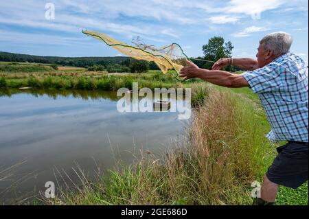 PRODUKTION - 27. Juli 2021, Bayern, Schwarzenfeld: Johann Schießl, Fischmeister, wirft ein Fischernetz in einen Karpfenteich. (Zur dpa 'Sommerserie 'Immaterielles Kulturerbe in Bayern' - Oberpfälzer Karpfenteichbau') Foto: Armin Weigel/dpa Stockfoto