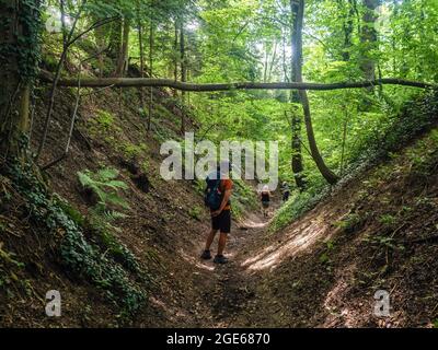 Einige Touristen werden gesehen, wie sie durch den Wald spazieren. Anlässlich der zehnten Auflage des Niederländischen Bergfilmfestivals und in voller Tradition der Jubiläumswege in den Alpen wurde 2020 eine neue Wanderroute, der Niederländische Bergweg, eingerichtet. Diese Route ist eine zerklüftete Wanderung von über 100 km, die die sieben steilsten Berggipfel in Süd-Limburg verbindet. Die Route beginnt am Wilhelminaberg in Landgraaf und endet am Observant in Maastricht. Sie ist nicht die längste, aber sie ist die härteste Strecke des Landes geworden, die an einigen Stellen die deutsche und belgische Grenze überquert. Stockfoto