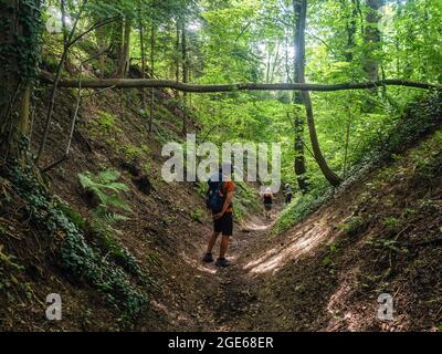 Einige Touristen werden gesehen, wie sie durch den Wald spazieren. Anlässlich der zehnten Auflage des Niederländischen Bergfilmfestivals und in voller Tradition der Jubiläumswege in den Alpen wurde 2020 eine neue Wanderroute, der Niederländische Bergweg, eingerichtet. Diese Route ist eine zerklüftete Wanderung von über 100 km, die die sieben steilsten Berggipfel in Süd-Limburg verbindet. Die Route beginnt am Wilhelminaberg in Landgraaf und endet am Observant in Maastricht. Sie ist nicht die längste, aber sie ist die härteste Strecke des Landes geworden, die an einigen Stellen die deutsche und belgische Grenze überquert. (Foto von Ana Stockfoto