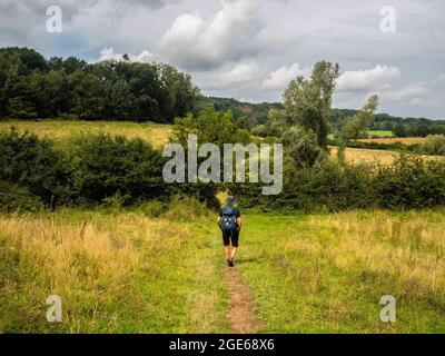 Landsrade, Süd-Limburg, Niederlande. August 2021. Ein Mann wird gesehen, wie er alleine durch einen Pfad mitten in der Natur geht. JubilÃ¤Jahr 2020, anlässlich der zehnten Ausgabe des Niederländischen Bergfilmfestivals und in voller Tradition der „Umwege in den Alpen“, wurde eine neue Wanderroute eingerichtet, der Niederländische Bergweg. Diese Route ist eine zerklüftete Wanderung von über 100 km, die die sieben steilsten Berggipfel in Süd-Limburg verbindet. Die Route beginnt am Wilhelminaberg in Landgraaf und endet am Observant in Maastricht. Sie ist nicht die längste, aber sie ist die härteste Wanderung in der Zählung Stockfoto