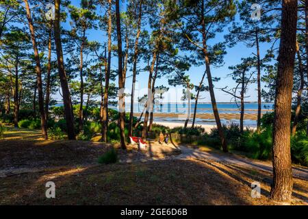 Arcachon (Südwestfrankreich): Überblick über die Bucht vom Kiefernwald des Pereire Parks Stockfoto