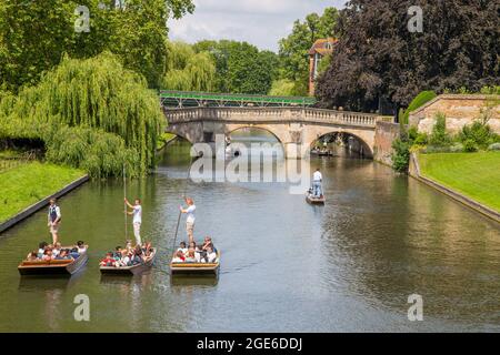 Stecheln auf dem Fluss Cam hinter King's College, Cambridge Stockfoto