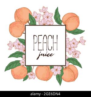Handgezeichneter pfirsichfarbener Rahmen. Vektorgrafik im Skizzenstil Stock Vektor