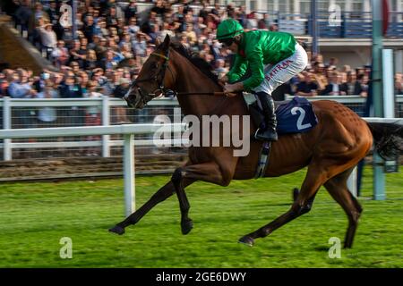 Windsor, Großbritannien. August 2021. Der Jockey Tom Marquand gewinnt den Visit Eden Grove Staines-upon-Thames Novice setzt sich auf das Pferd Candleford. Trainer William Haggas, Newmarket. Quelle: Maureen McLean/Alamy Stockfoto