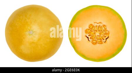 Honigmelonenhälften Cantaloupe, von oben isoliert. Frische und reife Frucht einer Hybridmelone der Art Cucumis melo, eine süße, aromatische Melone. Stockfoto