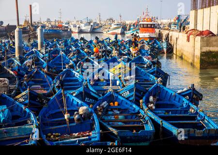 Marokko, Essaouira: Typische Fischerboote, blaue Lastkähne und Trawler im Hafen entlang der Atlantikküste, Nordafrika Stockfoto