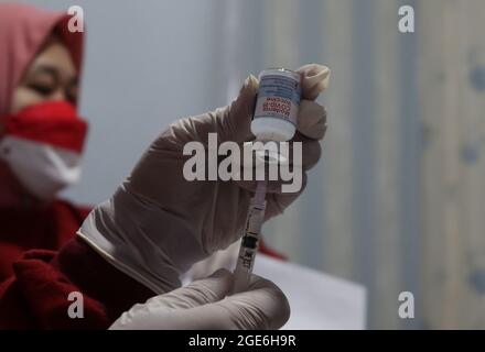 Jakarta, Indonesien. August 2021. Ein Gesundheitsmitarbeiter bereitet in Jakarta, Indonesien, am 17. August 2021 eine Dosis des Impfstoffs Moderna COVID-19 vor. Quelle: Dasril Roszandi/Xinhua/Alamy Live News Stockfoto