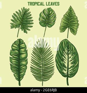 Einige Vektor-tropische Leaft-Designs Stock Vektor