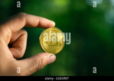 Goldene Bitcoin-Münze in Menschenhand im Sommerwald. Umweltfreundliches Kryptowährungskonzept Stockfoto