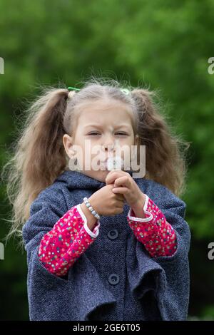 Portrat des kaukasischen Mädchens von fünf Jahren, das im Sommerpark auf den Dandelion bläst Stockfoto