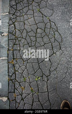 Alte gesprungene Asphaltfläche. Hintergrund oder Textur. Stockfoto