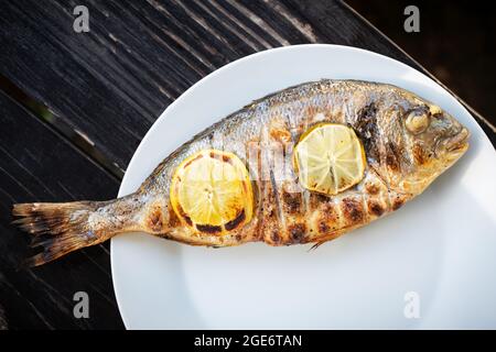 Gegrillter dorada-Fisch mit Zitronenstücken auf weißem Teller. Food-Fotografie Stockfoto