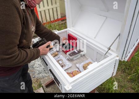 Frau, die Lebensmittel an einem Straßenstand mit einer Ehrlichkeitskiste in Baltasound auf der Insel Unst, Shetland, kauft. Stockfoto