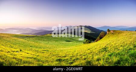 Fantastische Szene in den Bergen im Sommer. Üppig grüne Wiesen in traumhafter Abendsonne. Karpaten, Europa. Landschaftsfotografie Stockfoto