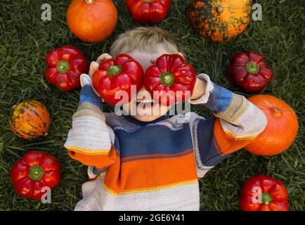 Niedlicher Junge 4 Jahre alt liegt auf Gras. In der Nähe sind orangefarbene Kürbisse und große burgunderrote Paprika. Ein Kind in gestreiftem Pullover mit zwei großen leckeren reifen Stockfoto