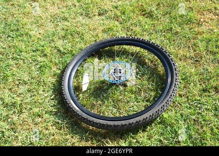Mountainbike-Reifen mit Bremsscheibe im Freien auf Gras Stockfoto