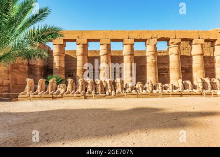 Reihe von steinigen Sphinxen in der Nähe von Säulen in Karnak Tempel Stockfoto