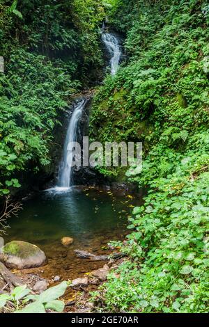 San Luis Wasserfall in einem Nebelwald von Reserva Biologica Bosque Nuboso Monteverde, Costa Rica Stockfoto