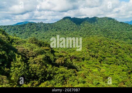 Nebelwald bedeckt Reserva Biologica Bosque Nuboso Monteverde, Costa Rica Stockfoto