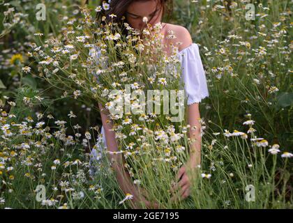 Porträt einer rätselhaften Frau mit Kamillen im Sommerfeld. Stockfoto